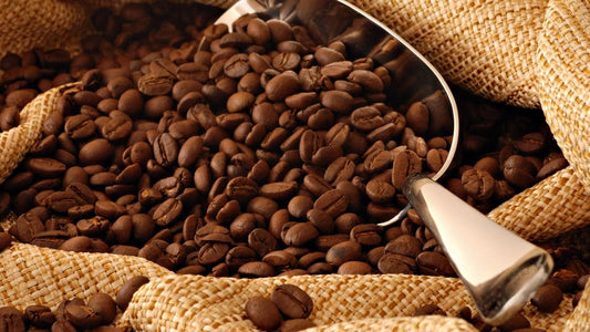 Saylani Roasted Coffee Beans
